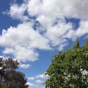 Meet your Posher, Relina